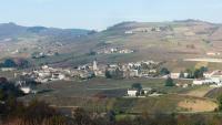 L'hiver semble arriver ........ notre vignoble de Juliénas et la nature dans son ensemble tardent à s'endormir ! Rien n'arrête les vignerons qui continuent inlassablement de tailler cep après cep, ici se prépare  le futur millésime. 