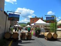 Samedi 18 juillet, JULIENAS en fête ! Vignerons et Associations de JULIENAS vous préparent une journée pleine d'émotions !