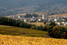 Vignoble Rhône