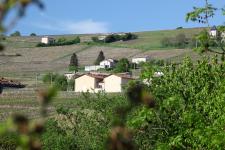 Caveau de dégustation du Domaine Daniel Voluet à Juliénas